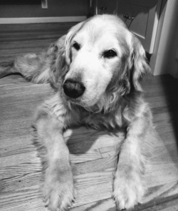 Fundraising Page Image