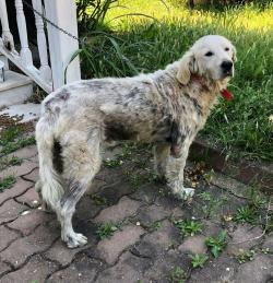 Fundraising Page Image