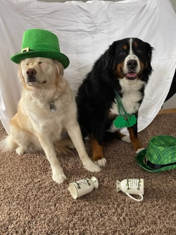 Fundraising Page Image