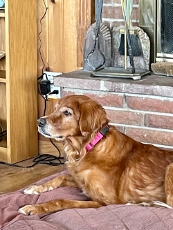 Fundraising Page Image