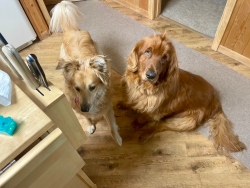 Fundraising Page Image