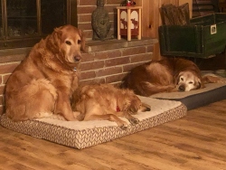 Fundraising Page Image