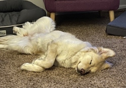 Fundraising Page Image