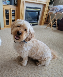 Fundraising Page Image