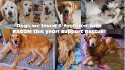 Fundraising Page Image