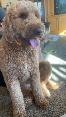 Fundraising Page Image