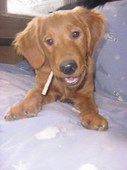 Fundraising Page Image