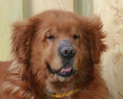 Fundraising Page Image