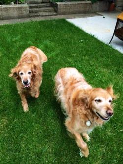 Fundraising Page Image