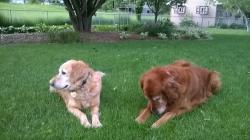 Fundraising Page Image