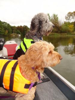 Fundraising Page Image