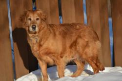 Fundraising Page Image