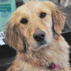 Fundraising Page Image