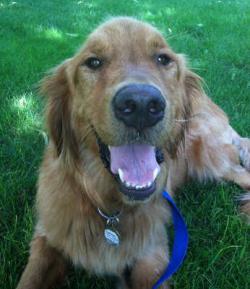 Fundraising Page Image