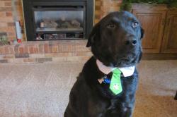 Fundraising Page Image