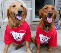 Fundraising Page Image