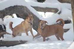 Fundraising Page Image