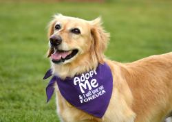 Fundraising Page Image