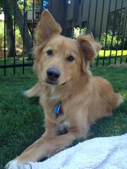 Fundraising Page Image