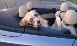 Fundraising Page Image